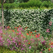 Flowers in the garden of Alhambra